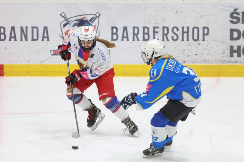 Ice Hockey. Tauron Liga Hokeja Kobiet. Polonia Bytom - UKKH Unia Oswiecim. 24.02.2024