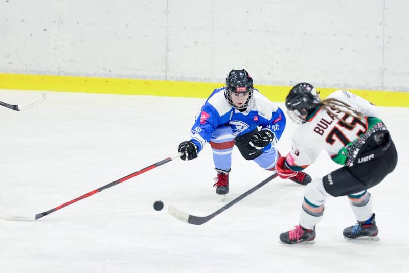 Ice Hockey. Tauron Liga. Kojotki Naprzod Janow - Stoczniowiec Gdansk. 24.02.2024