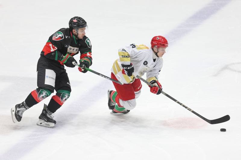 Ice Hockey. Tauron Hokej Liga. Zaglebie Sosnowiec - GKS Tychy. 27.02.2024