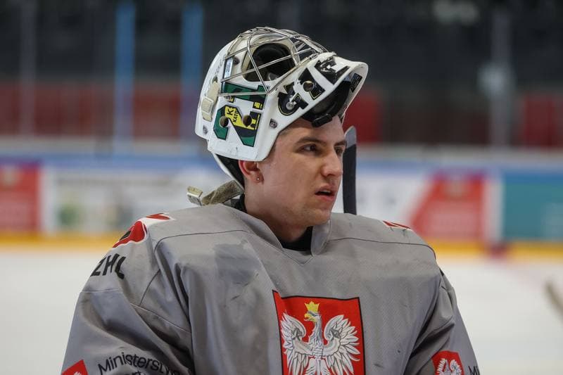 Ice Hockey. Poland national team. Training. 10.04.2023