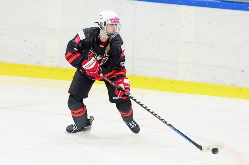 Ice Hockey. EWHL. Tauron Metropolia Silesia - EC Graz Huskies. 02.03.2024
