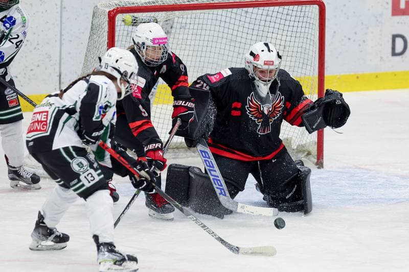 Ice Hockey. EWHL. Tauron Metropolia Silesia - EC Graz Huskies. 02.03.2024
