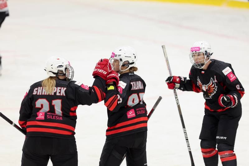 Ice Hockey. EWHL. Tauron Metropolia Silesia - EC Graz Huskies. 02.03.2024