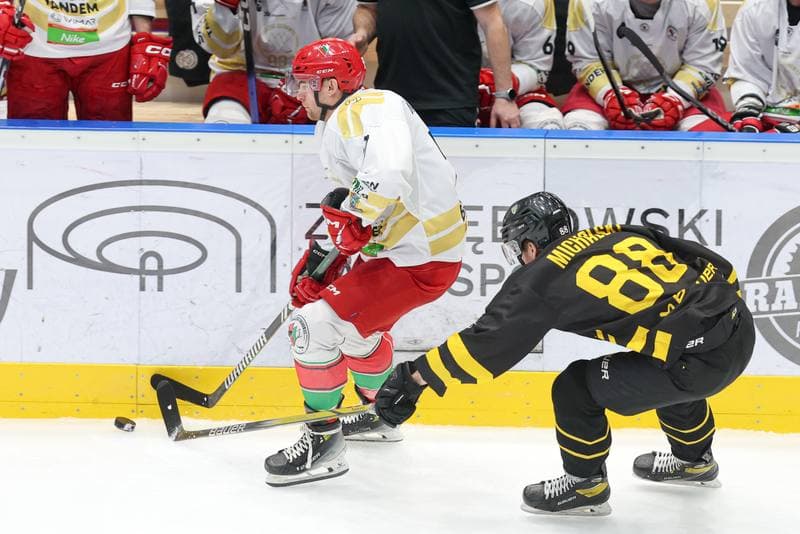 Ice Hockey. Tauron Hokej Liga. Zaglebie Sosnowiec - GKS Katowice. 06.03.2024