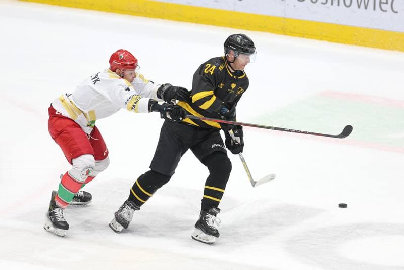 Ice Hockey. Tauron Hokej Liga. Zaglebie Sosnowiec - GKS Katowice. 06.03.2024