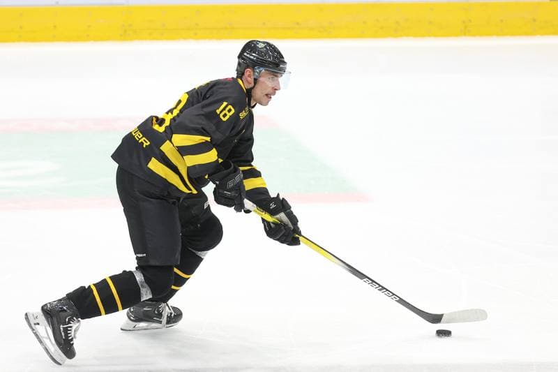 Ice Hockey. Tauron Hokej Liga. Zaglebie Sosnowiec - GKS Katowice. 06.03.2024
