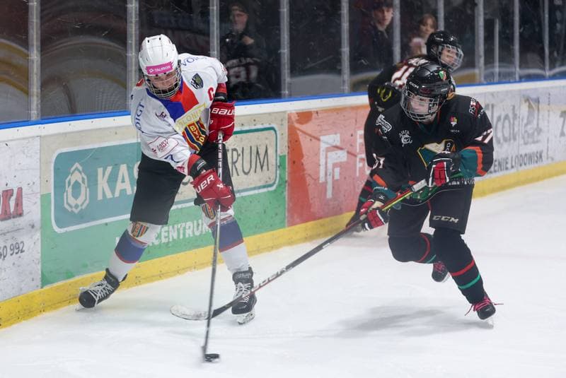 Ice Hockey. Tauron Liga Hokeja Kobiet. BS Polonia Bytom - Kojotki Naprzod Janow. 16.03.2024