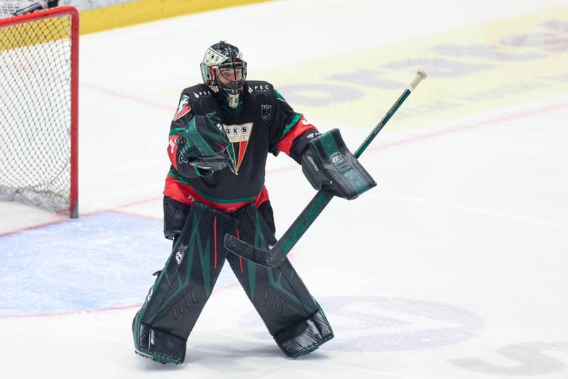 Ice Hockey. Tauron Hokej Liga. Re-Plast Unia Oswiecim - GKS Tychy. 24.03.2024