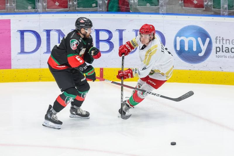 Ice Hockey. Tauron Hokej Liga. Zaglebie Sosnowiec - GKS Tychy. 20.12.2023