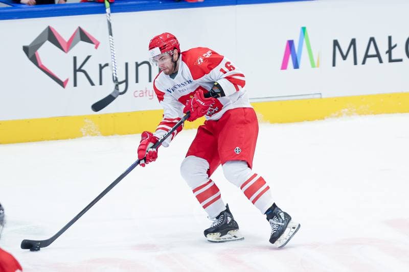 Ice Hockey. Friendly Match. Poland - Hungary. 12.04.2024