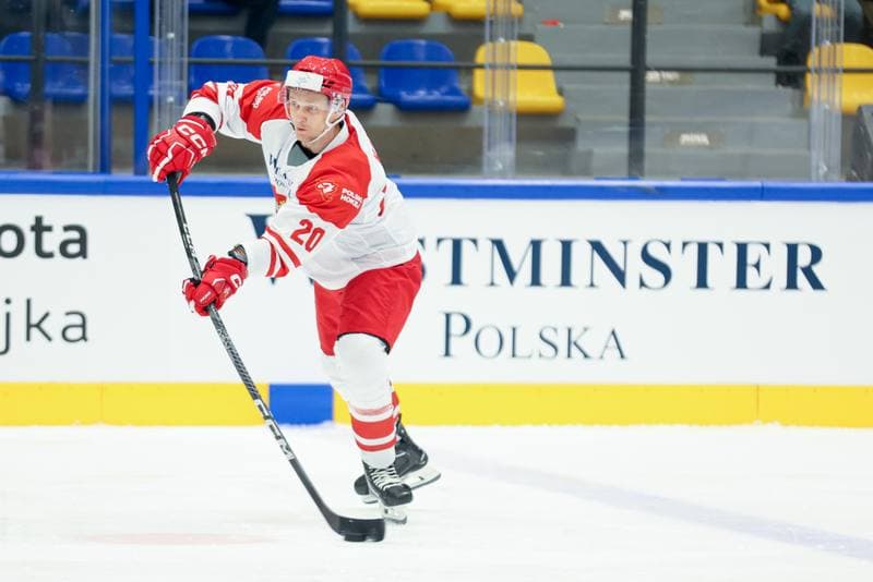 Ice Hockey. Friendly Match. Poland - Hungary. 12.04.2024