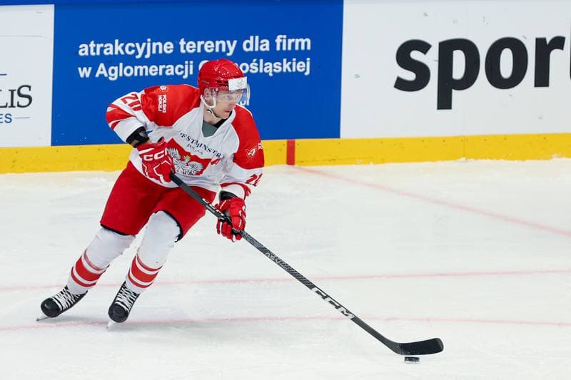 Ice Hockey. Friendly Match. Poland - Hungary. 13.04.2024