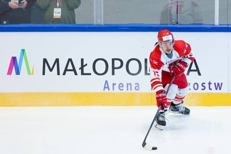 Ice Hockey. Friendly Match. Poland - Hungary. 13.04.2024