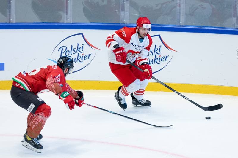 Ice Hockey. Friendly Match. Poland - Hungary. 13.04.2024