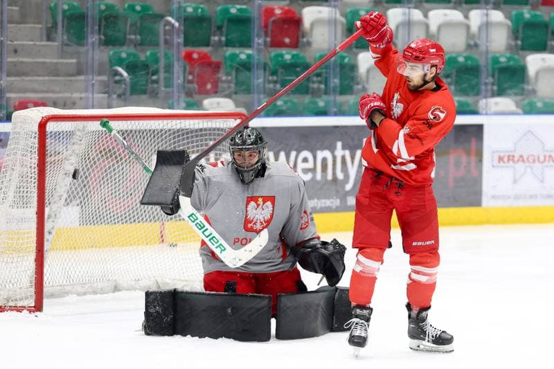 Ice Hockey. Poland national team. Training. 03.02.2024