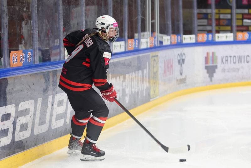 Ice Hockey. EWHL. Tauron Metropolia Silesia - KEHV Lakers. 04.02.2024