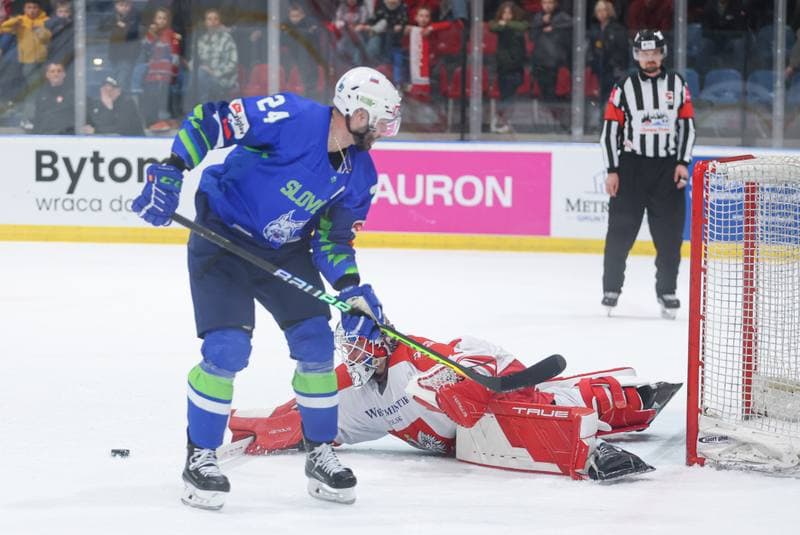 Ice Hockey. Friendly Match. Poland - Slovenia. 18.04.2024