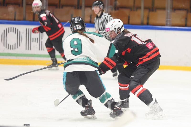Ice Hockey. EWHL. Tauron Metropolia Silesia - KEHV Lakers. 04.02.2024