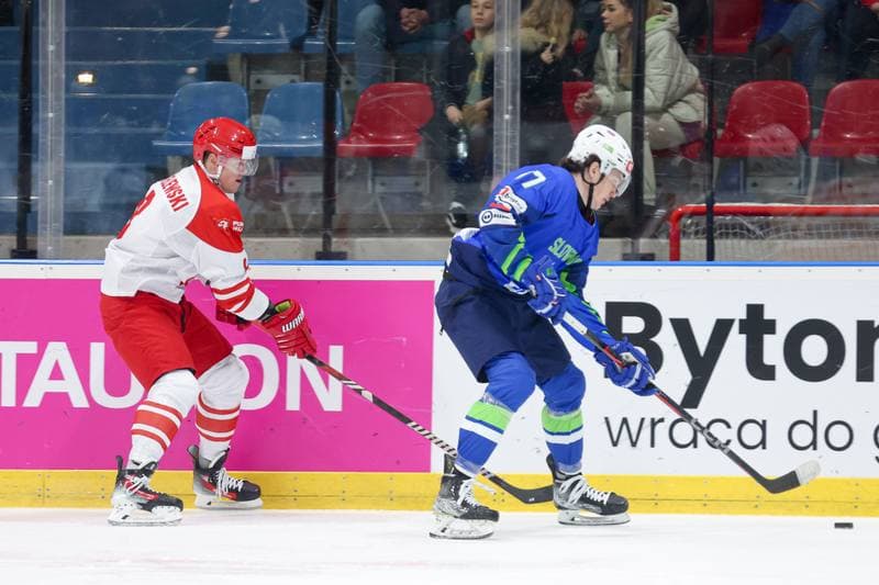 Ice Hockey. Friendly Match. Poland - Slovenia. 19.04.2024