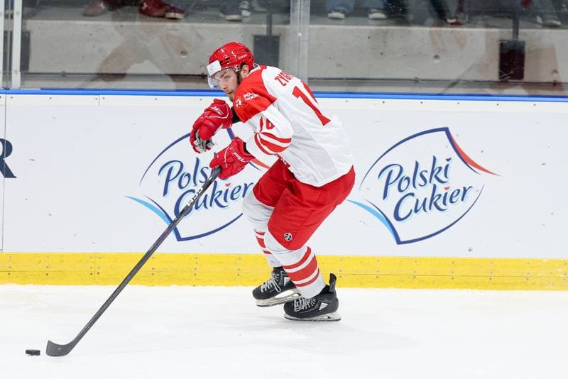 Ice Hockey. Friendly Match. Poland - Slovenia. 19.04.2024