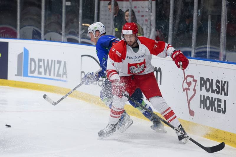 Ice Hockey. Friendly Match. Poland - Slovenia. 19.04.2024