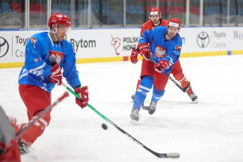 Ice Hockey. Poland national team. Training. 22.04.2024