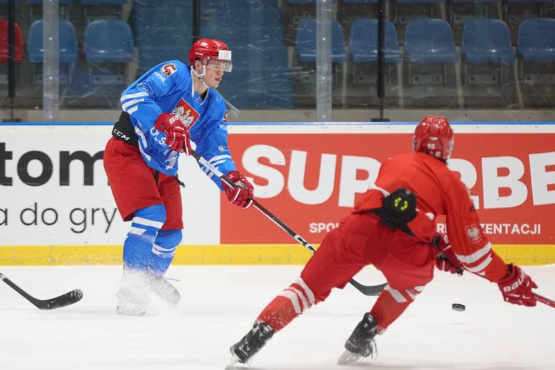 Ice Hockey. Poland national team. Training. 22.04.2024