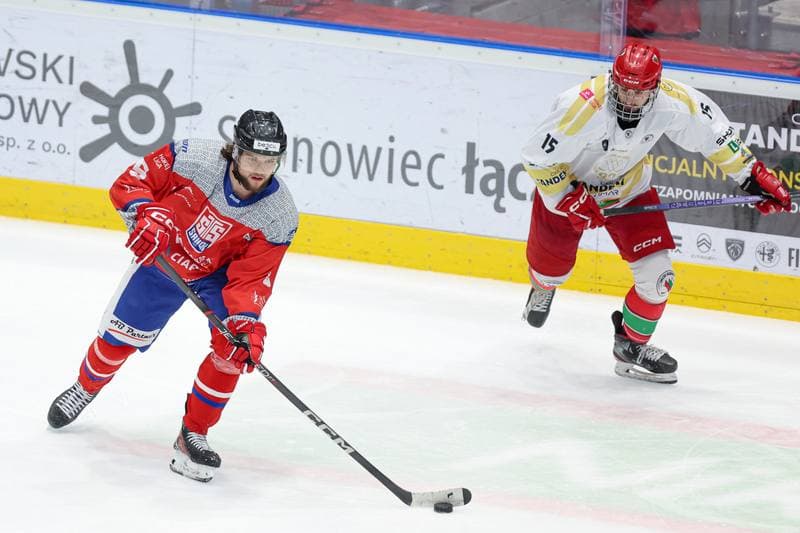Ice Hockey. Tauron Hokej Liga. Zaglebie Sosnowiec - Marma Ciarko STS Sanok. 23.02.2024
