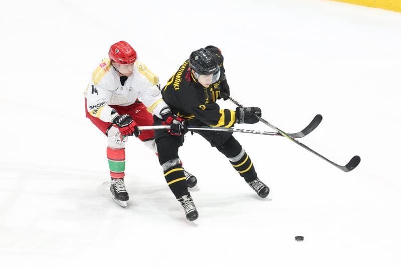Ice Hockey. Tauron Hokej Liga. Zaglebie Sosnowiec - GKS Katowice. 21.01.2024