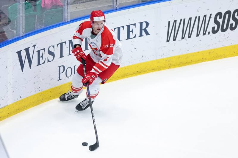 Ice Hockey. Friendly Match. Poland - Denmark. 07.05.2024