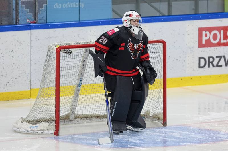 Ice Hockey. EWHL. Tauron Metropolia Silesia - EC Graz Huskies. 02.03.2024