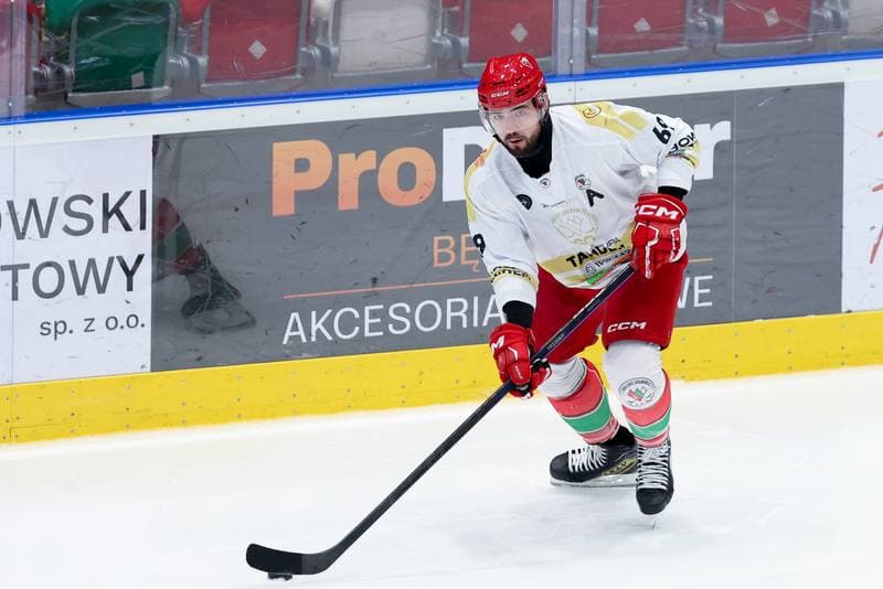 Ice Hockey. Tauron Hokej Liga. Zaglebie Sosnowiec - PZU Podhale Nowy Targ. 14.02.2024