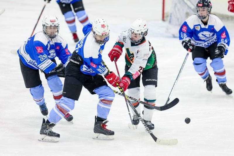 Ice Hockey. Tauron Liga. Kojotki Naprzod Janow - Stoczniowiec Gdansk. 24.02.2024
