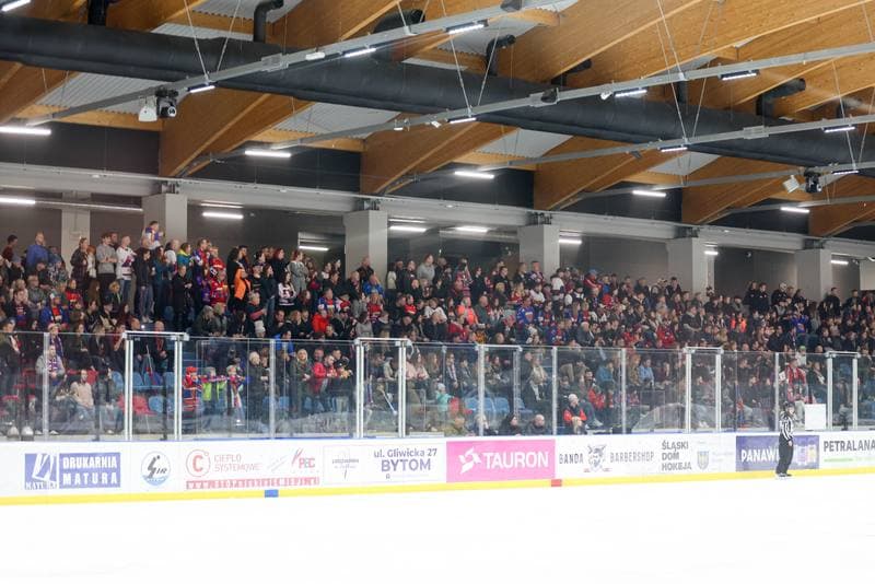 Ice Hockey. Tauron Liga Hokeja Kobiet. BS Polonia Bytom - Kojotki Naprzod Janow. 16.03.2024