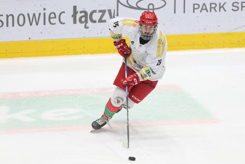 Ice Hockey. Tauron Hokej Liga. Zaglebie Sosnowiec - GKS Tychy. 27.02.2024