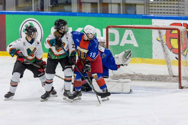 Ice Hockey. PLHK. Kojotki Naprzod Janow - BS Polonia Bytom. 09.11.2022