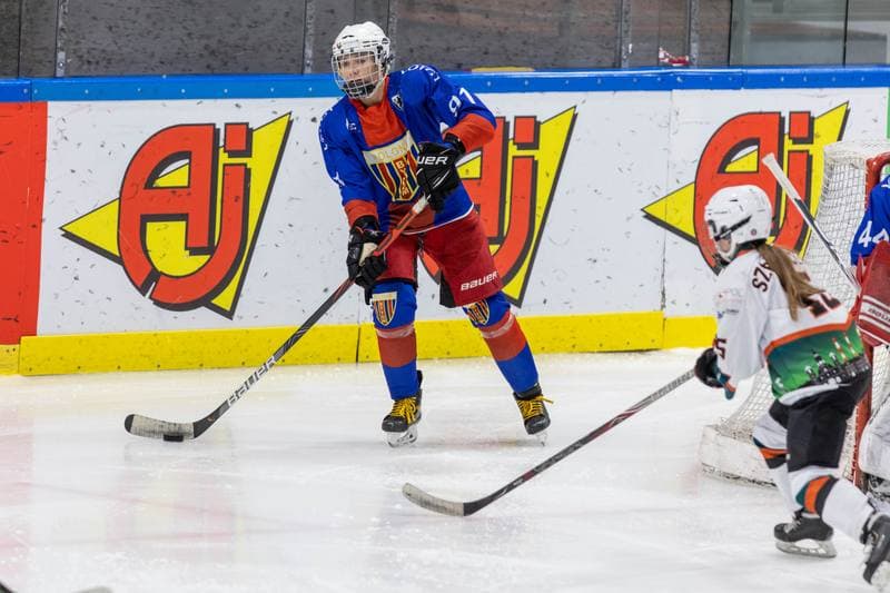 Ice Hockey. PLHK. Kojotki Naprzod Janow - BS Polonia Bytom. 09.11.2022