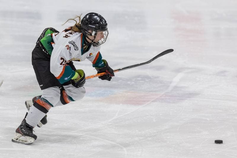 Ice Hockey. PLHK. Kojotki Naprzod Janow - MMKS Podhale Nowy Targ. 12.11.2022