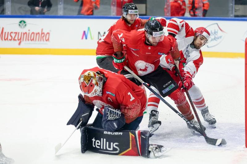 Ice Hockey. Friendly Match. Poland - Hungary. 13.04.2024