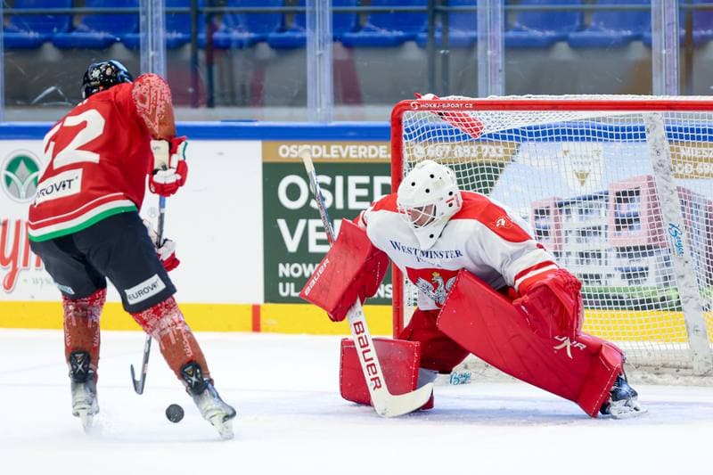 Ice Hockey. Friendly Match. Poland - Hungary. 13.04.2024