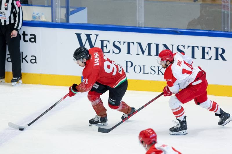 Ice Hockey. Friendly Match. Poland - Hungary. 13.04.2024