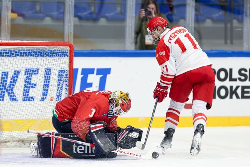 Ice Hockey. Friendly Match. Poland - Hungary. 13.04.2024
