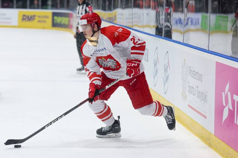 Ice Hockey. Friendly Match. Poland - Slovenia. 19.04.2024