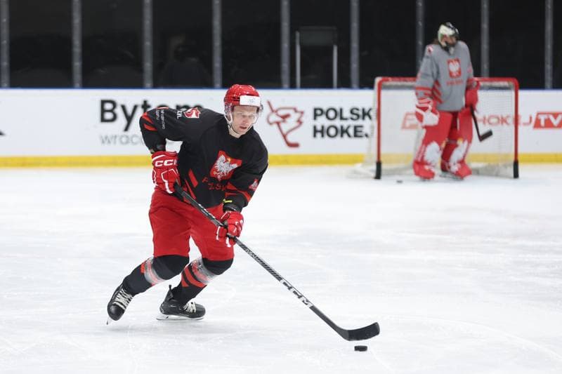 Ice Hockey. Poland national team. Training. 17.04.2024