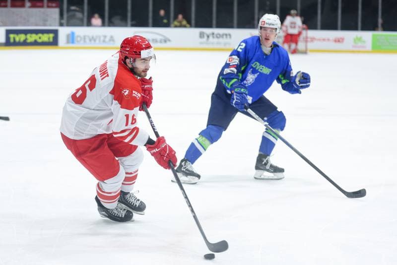 Ice Hockey. Friendly Match. Poland - Slovenia. 19.04.2024