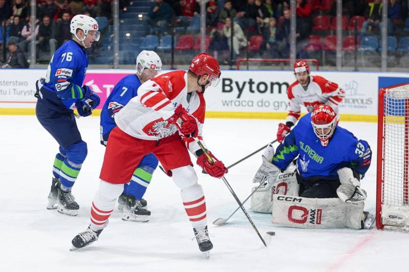 Ice Hockey. Friendly Match. Poland - Slovenia. 19.04.2024