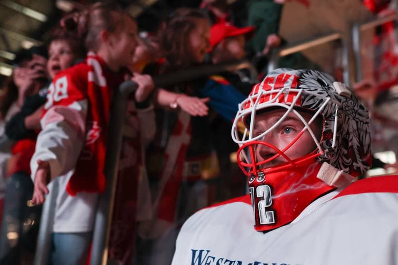 Ice Hockey. Friendly Match. Poland - Denmark. 07.05.2024