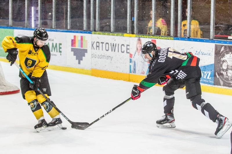 Ice Hockey. Polska Hokej Liga. GKS Katowice - GKS Tychy. 28.01.2020