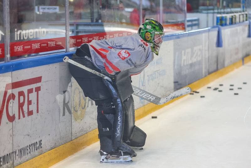 Ice Hockey. Poland national team. Training. 10.04.2023