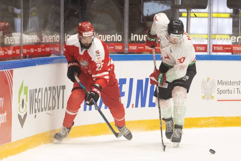 Ice Hockey. Friendly Match. Poland - Hungary. 20.04.2023